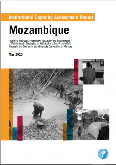 Institutional Capacity Assessment Report: Mozambique